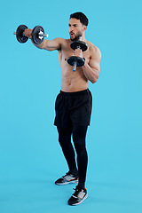 Image showing Dumbbells, fitness and man in studio for training, exercise or bodybuilding on blue background. Health, wellness and topless guy bodybuilder with bicep workout, muscle or flex, progress or resilience