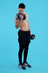 Image showing Fitness, dumbbells and man flex in studio for training, exercise or bodybuilding on blue background. Health, wellness or topless bodybuilder with bicep workout, muscle or body, progress or resilience