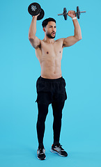 Image showing Fitness, dumbbells and man stretching in studio for training, exercise or bodybuilding on blue background. Health, wellness and bodybuilder with bicep workout, muscle or flex, progress or resilience