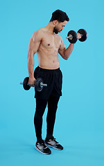 Image showing Fitness, dumbbells and man in studio for training, exercise or bodybuilding on blue background. Health, wellness and topless guy bodybuilder with bicep workout, muscle or flex, progress or resilience