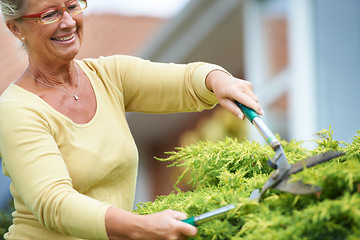 Image showing Senior, happy woman and outdoors with shears in garden by landscaping of nature, plant or greenery. Elderly person, wrinkles and glasses with smile for tool, trim and hedge in retirement with care