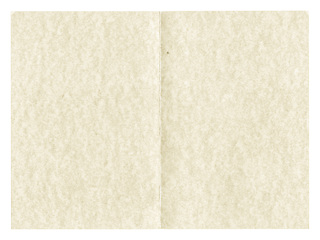 Image showing Vintage looking Parchment