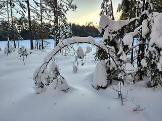 Image showing Vinter