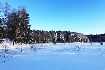 Image showing Vinter