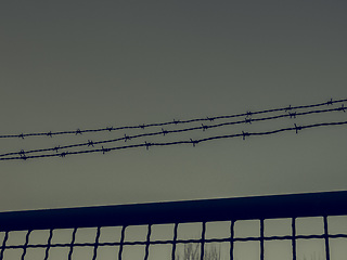 Image showing Vintage looking Barbed wire