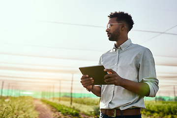 Image showing Thinking farmer with digital tablet checking sustainable farming growth, progress or preparing farm export order on tech. Serious man, gardener or greenhouse environmental scientist on a rural estate