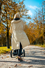 Image showing Young beautiful mother wearing a rain coat pushing stroller with her little baby boy child, walking in city park on a sunny autumn day