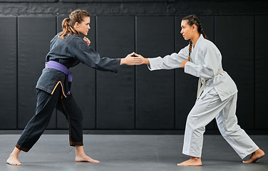 Image showing Karate training, handshake and exercise of female sport students about to start training. Student fitness and gym workout of women learning how to fight at a dojo studio, school and sports club