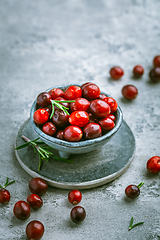 Image showing Organic Cranberries in a bowl on grey background