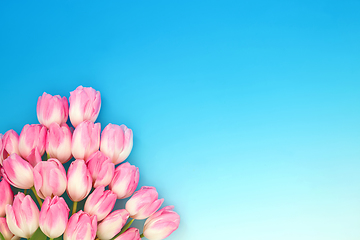 Image showing Spring Pink Tulip Flower Bouquet Still Life