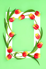 Image showing Spring Red and Yellow Tulip Flower Abstract Background Frame