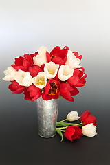 Image showing Spring Red and White Tulip Flower Still Life Arrangement