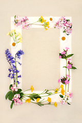 Image showing Spring Wildflower Seasonal Background Frame