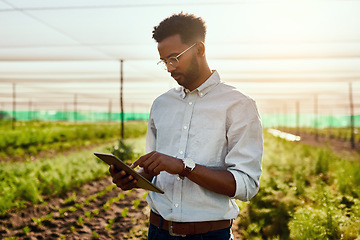 Image showing Male farmer planning online strategy on a tablet looking at farm growth outdoors. Digital agriculture analyst analyzing farming data. Worker research environment and sustainability