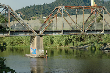 Image showing Swimmin' in the river