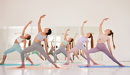 Image showing Yoga class or club of females only exercising and stretching during their morning workout or exercise. Group of calm, fit and active women training together and living a healthy lifestyle