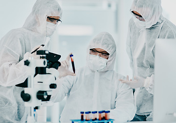 Image showing Hazmat suit scientists with test tube in medical research, healthcare or science cure testing for covid, marburg virus or ebola. Group of laboratory professionals looking or checking DNA blood sample