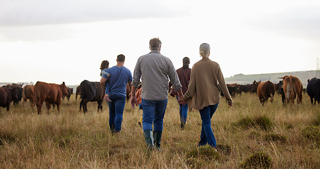 Image showing Farm, countryside and family with cows on agriculture grass field in nature. Farmer mother, dad and kids with grandparents and cattle or sustainable animals for dairy, beef or meat industry.