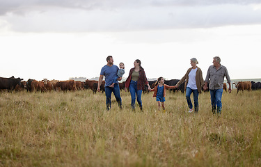 Image showing Farming, sustainability and family community on a farm walking together with cows in the background. Happy agriculture countryside group relax holding hands in a green sustainable field in nature