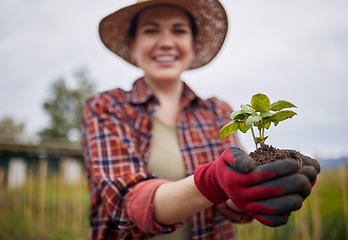 Image showing Gardener or farmer in support of sustainability and organic farming holding a small plant or seedling in her hands. Nature activist in protection of the environment and happy about a sustainable farm
