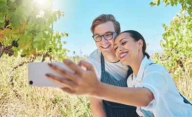 Image showing Wine farm, couple or phone selfie of fruit agriculture farmers, vineyard workers or sustainability countryside people. Smile, happy or interracial man and woman on environment or nature farming field