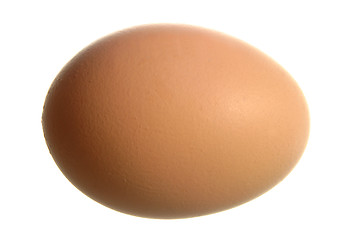 Image showing isolated egg