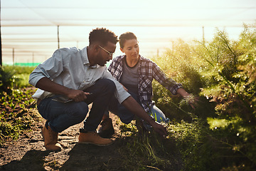 Image showing A farmer and agricultural engineer working in organic green farm or garden center in the countryside. Diverse entrepreneurs checking plant growth and harvesting produce, holding digital tablet.