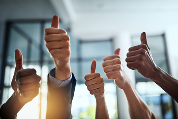 Image showing Diverse group of successful businesspeople approving and giving thumbs up for satisfaction and job well done. Corporate team of cheerful colleagues using their hands to say yes showing agreement