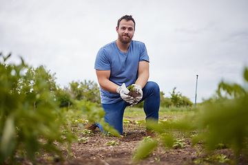 Image showing Farmer planting, growing and holding crops, plant and agriculture in environment, organic garden and sustainability field. Portrait of man and farm worker caring for future of nature conservation