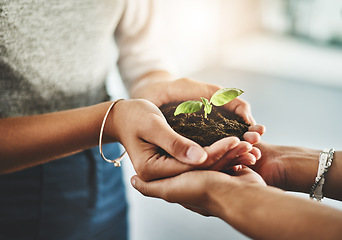 Image showing Closeup of hands holding organic plant, reducing carbon footprint with ecology and being eco friendly together. Friends embracing clean energy, sustainable lifestyle and sprouting green leaf