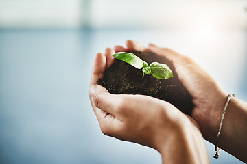 Image showing Growth, innovation and plant in hands of ecology entrepreneur showing development and sustainability in green business. Woman holding and supporting seed in soil in a growing startup with lens flare