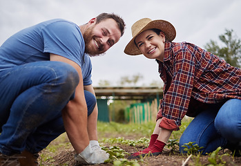 Image showing Farmer couple working with garden plant on ground with sand, soil and nature environment for sustainability agriculture in countryside. Portrait of happy field worker with growth of green gardening