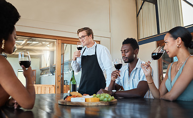 Image showing Hospitality, luxury and wine tasting at a restaurant with a professional sommelier teaching how to enjoy red wine. Diverse group having fun, celebrating their friendship with getaway and fine dining