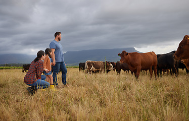 Image showing Agriculture, countryside family with cows on a farm or grass field with storm clouds in background. Sustainability mother, father and girl with cattle farm animals for beef or meat growth business