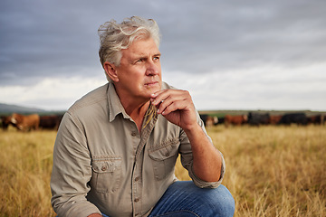 Image showing Mindset of an agriculture farmer man thinking on farm with storm clouds in sky or weather for outdoor farming or countryside. Sustainability worker on grass field with a vision for growth development