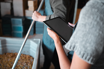 Image showing Owner working on a digital tablet in a winery while a wine maker press grapes to make wine. Woman worker doing research on the internet with technology in a manufacturing distillery warehouse.