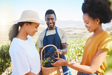 Image showing Agriculture, sustainability and farm worker working on wine estate holding fresh grapes or fruit in vineyard. Happy farmers smiling and check crops to examine them after harvest on a field in nature