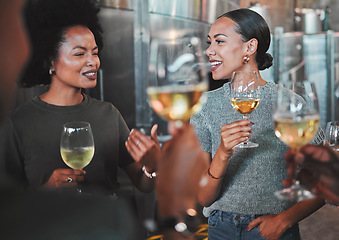 Image showing Women diversity and friends wine tasting on countryside farm with alcohol drink glass in sustainable distillery. Happy people bonding, talking or learning agriculture vineyard industry