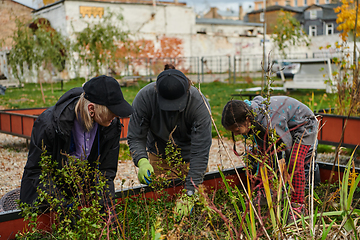 Image showing A modern family parents and children, is working together to beautify their front yard with flowers in preparation for the upcoming holiday season.