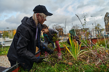 Image showing A modern family parents and children, is working together to beautify their front yard with flowers in preparation for the upcoming holiday season.