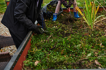 Image showing A modern family parents and children, is working together to beautify their front yard with flowers in preparation for the upcoming holiday season.