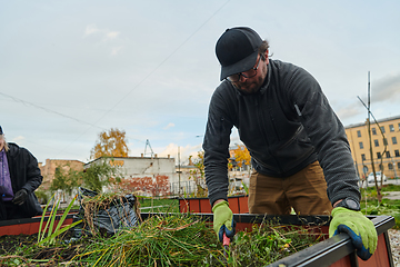 Image showing A European man tends to a colorful floral garden in front of his house, creating a vibrant and well-maintained outdoor space