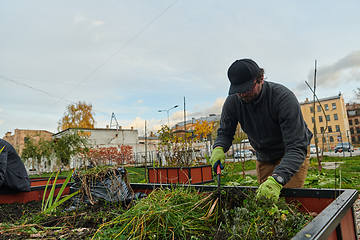 Image showing A European man tends to a colorful floral garden in front of his house, creating a vibrant and well-maintained outdoor space