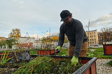 Image showing A European man tends to a colorful floral garden in front of his house, creating a vibrant and well-maintained outdoor space