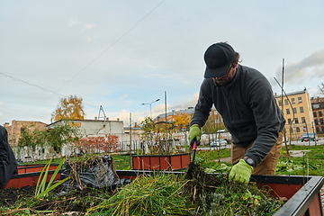 Image showing A European man tends to a colorful floral garden in front of his house, creating a vibrant and well-maintained outdoor space