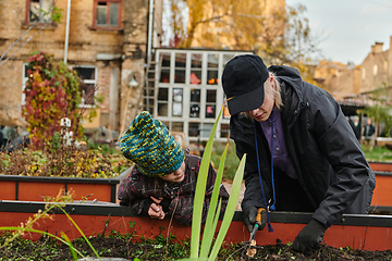 Image showing A modern family parents and children, is working together to beautify their front yard with flowers in preparation for the upcoming holiday season.