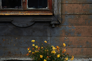 Image showing In Lithuania, the rustic charm of a weathered wooden textured wall adorns a traditional house, showcasing the rich cultural heritage and craftsmanship of this Baltic country