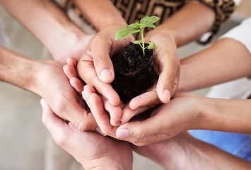 Image showing Green economy, sustainability plant hands and global growth of teamwork with hope, help and trust for earth, future community and environment success. Planet diversity, innovation and accountability