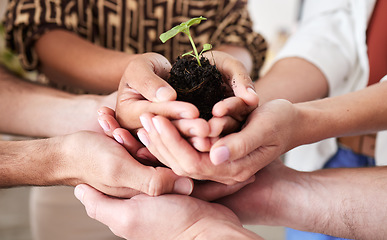 Image showing Green economy, sustainability plant hands and global growth of teamwork with hope, help and trust for earth, future community and environment success. Planet diversity, innovation and accountability