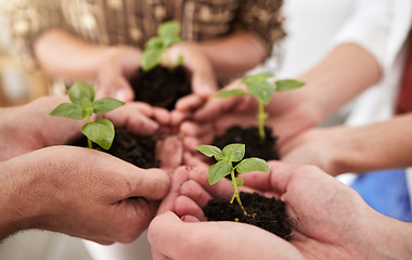 Image showing Green economy plant, hands and vision goal for future innovation, growth and sustainability. Zoom on people diversity, teamwork friends or agriculture workers with environment success accountability